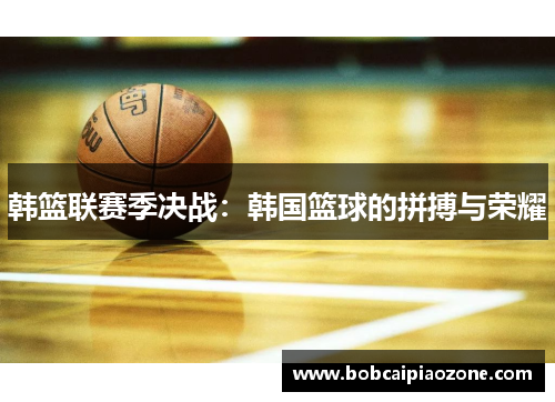 韩篮联赛季决战：韩国篮球的拼搏与荣耀
