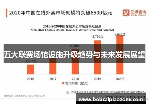 五大联赛场馆设施升级趋势与未来发展展望